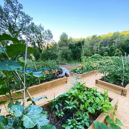 Can Vital Nature & Wellness Hotel *